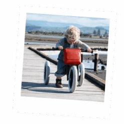 Wishbone Bike Bag 13 Wishbone Bike Bag -Children Toy Store 16 3 1 daa014eb c6f2 47f8 a41f b5b35d1e3052