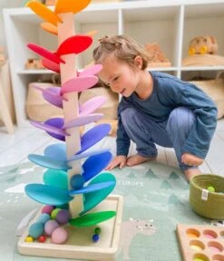 Magic Wood Marble Run Tree Medium 48cm 15 Magic Wood Marble Run Tree Medium 48cm -Children Toy Store 176550399 1153181125178587 4577111370345516383 n 869ff4a0 3fd0 40b7 a703 62e3326e5634