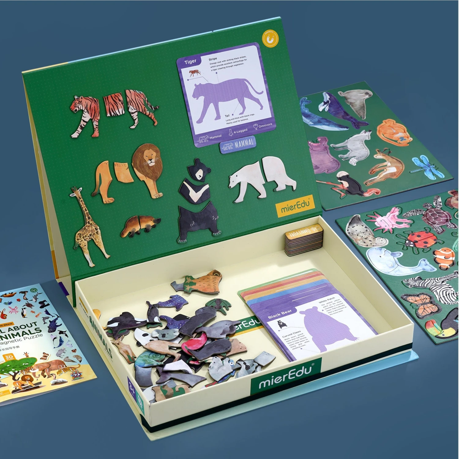 MierEdu All About - Animals Magnetic 5 MierEdu All About - Animals Magnetic - Image 3