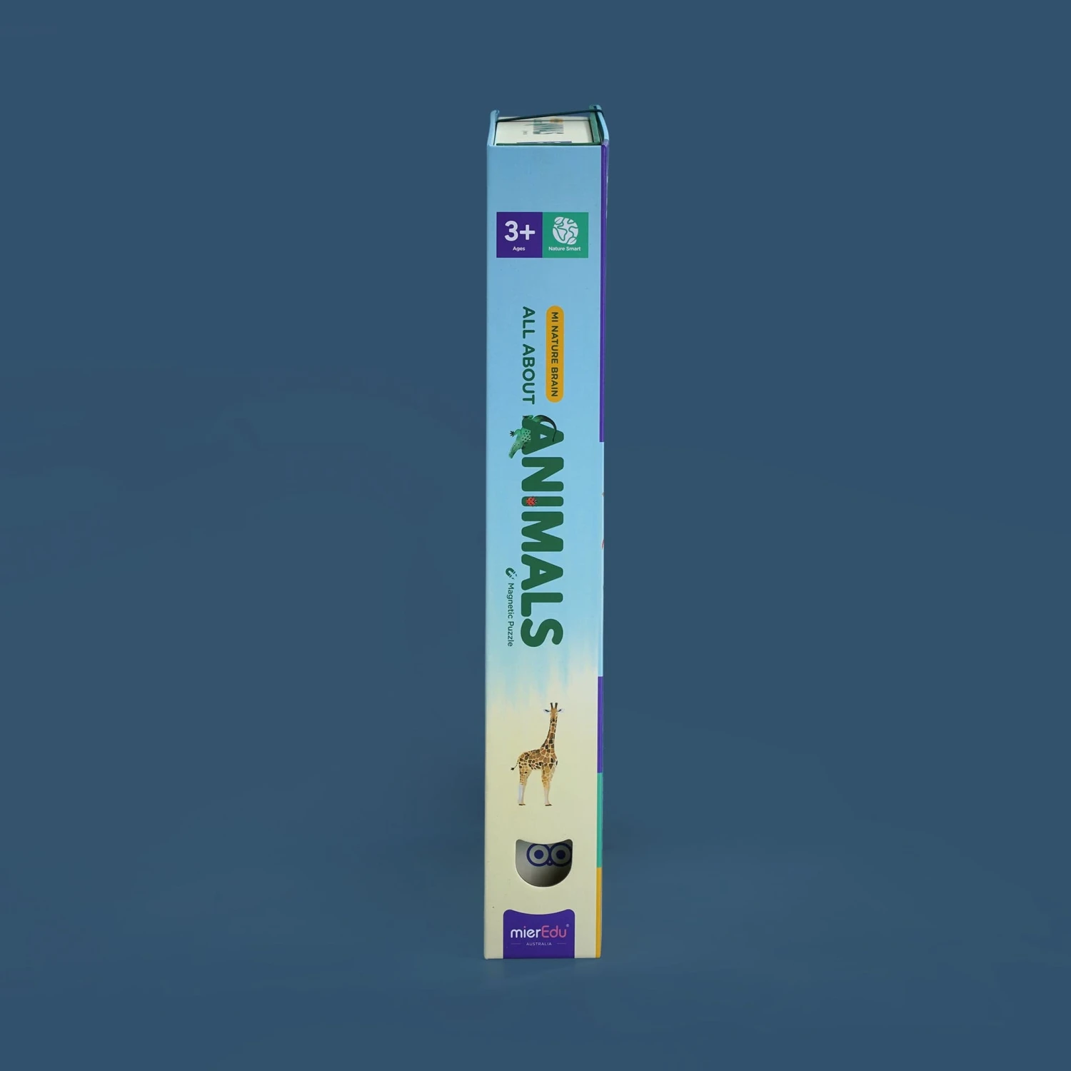 MierEdu All About - Animals Magnetic 18 MierEdu All About - Animals Magnetic - Image 16