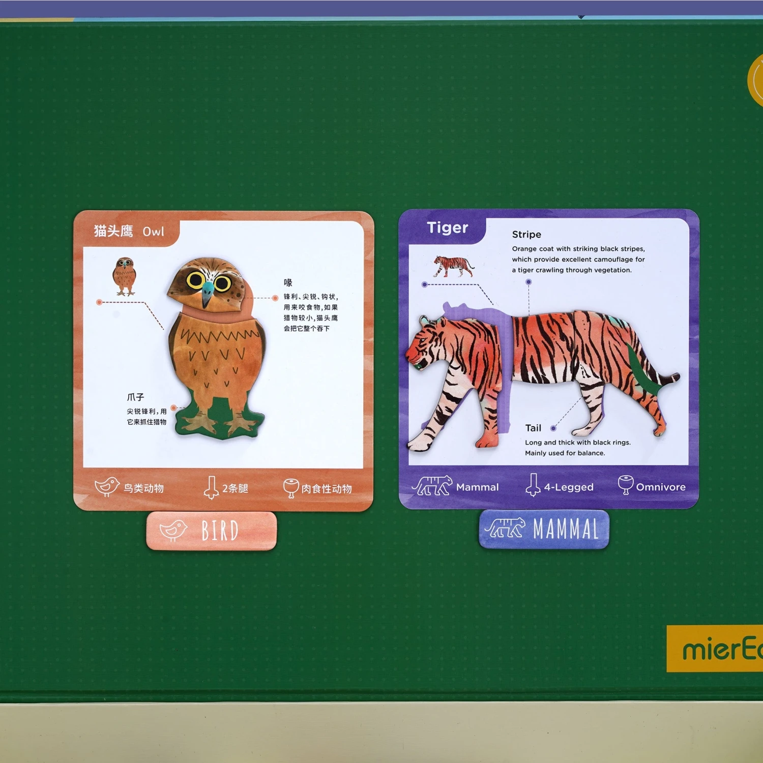 MierEdu All About - Animals Magnetic 7 MierEdu All About - Animals Magnetic - Image 5