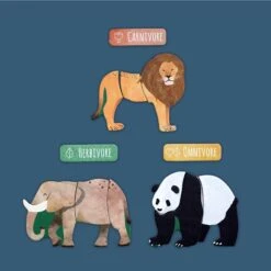 MierEdu All About - Animals Magnetic 28 MierEdu All About - Animals Magnetic -Children Toy Store 1 4