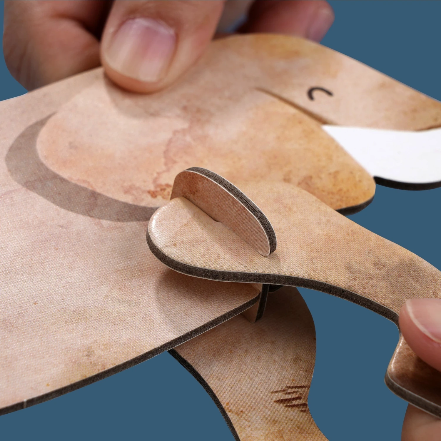 MierEdu All About - Animals Magnetic 15 MierEdu All About - Animals Magnetic - Image 13