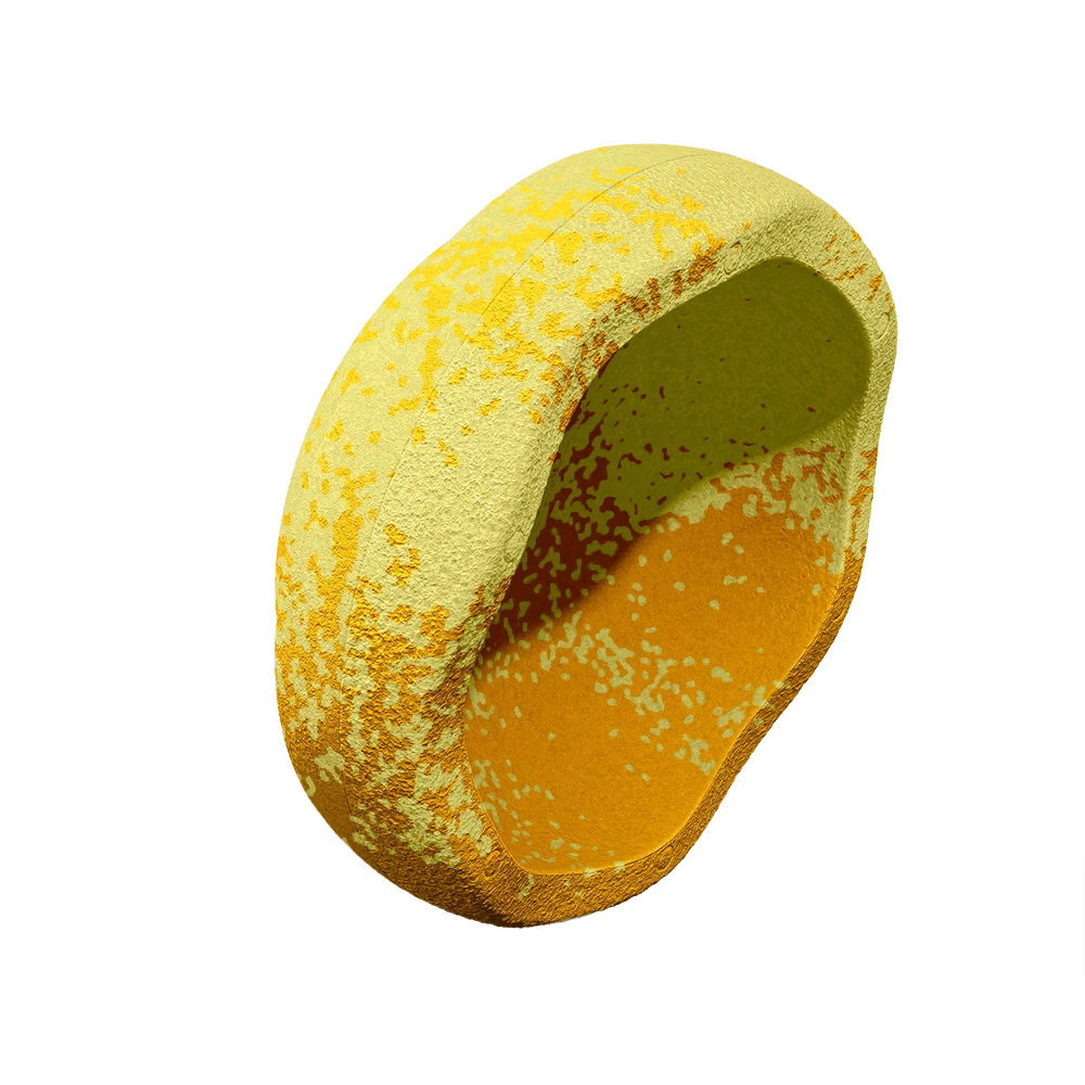 Stapelstein Wattle Limited Edition 4 Stapelstein Wattle Limited Edition - Image 2