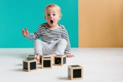 Freckled Frog Fun With Chalk! Wooden Cubes -Children Toy Store 27 14 3