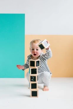 Freckled Frog Fun With Chalk! Wooden Cubes -Children Toy Store 27 14 5