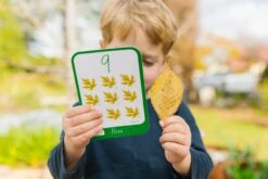 Freckled Frog Numbers Flashcards 12 Freckled Frog Numbers Flashcards -Children Toy Store 27 15 5