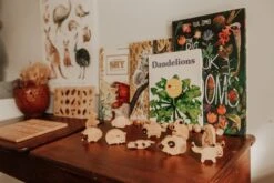 QToys Australian Animal Set Of 10 -Children Toy Store 6 2 e0c4269b 7f5d 486f ba4d 52dc44abc662