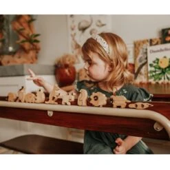 QToys Australian Animal Set Of 10 -Children Toy Store 6 2ef98ac6 31fc 4917 a67d ffbe55b7b63a