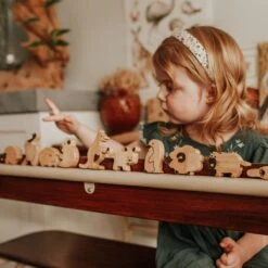 QToys Australian Animal Set Of 10