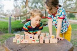 The Freckled Frog ABC Blocks 10 The Freckled Frog ABC Blocks -Children Toy Store ABCBlocks 2