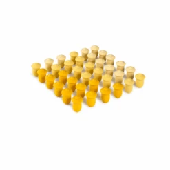 Grapat - Tulip Mandala Wild Wild Collection