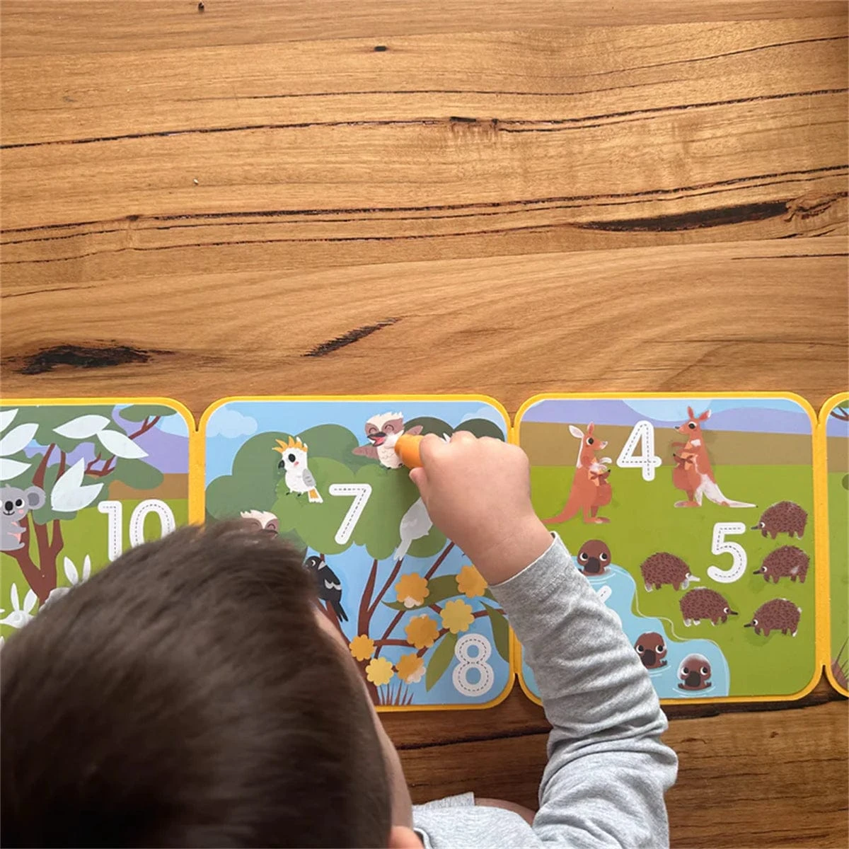 My Creative Box Aussie Animals Magic Water Painting Set 5 My Creative Box Aussie Animals Magic Water Painting Set - Image 3