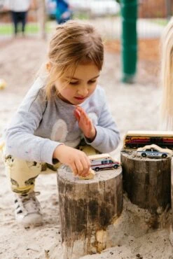 Freckled Frog Getting Around 11 Freckled Frog Getting Around -Children Toy Store GettingAround 4