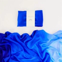 2025 New Sarah’s Silks Giant Blueberry Playsilk