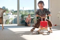 Wishbone Flip - Red -Children Toy Store GrantMaidenFlipshoot21Aug11095