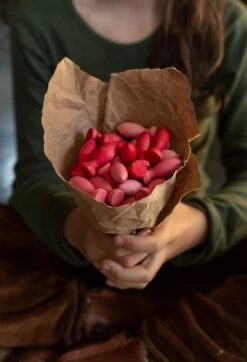 Grapat Mandala Petals 36 Pieces 13 Grapat Mandala Petals 36 Pieces -Children Toy Store Grapat Mandala Petals 36 Pieces New 2021 05