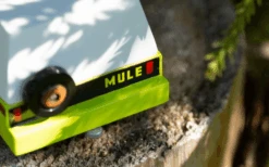 Candylab – Everglades Mule 14 Candylab – Everglades Mule -Children Toy Store Green Mule Lifestyle 4 2048x 960x600 1
