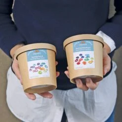 Grimm’s Forest Rainbow 12 Pieces 10 Grimm’s Forest Rainbow 12 Pieces -Children Toy Store Grimm sBuildingRingsRainbow 4 df84641f 009c 476e b6f3 e955d3e8a570