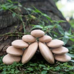 Guidecraft Wood Stackers River Stones -Children Toy Store GuidecraftWoodStackersRiverStones 5