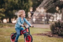 Wishbone Bike RE2 3-in-1 -Children Toy Store IMG 2512