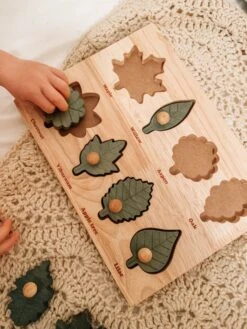 QToys Montessori Leaf Puzzle -Children Toy Store QToysMontessoriLeafPuzzle 2