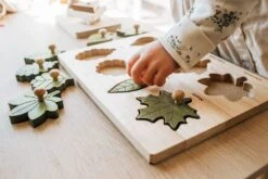 QToys Montessori Leaf Puzzle -Children Toy Store QToysMontessoriLeafPuzzle 5