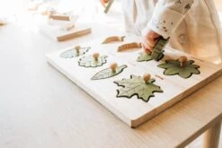 QToys Montessori Leaf Puzzle -Children Toy Store QToysMontessoriLeafPuzzle 8