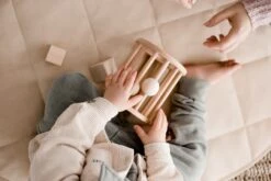 QToys Wooden Shape Sorter -Children Toy Store QToysWoodenShapeSorter 4