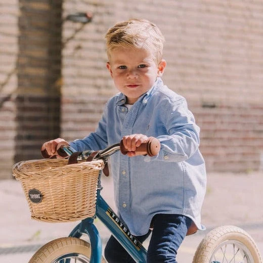 Trybike Basket For Trybike Steel 3 Trybike Basket For Trybike Steel - Image 2