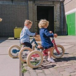 Trybike 2 In 1 Vintage Steel Balance Bike - Blue -Children Toy Store TB6142 8