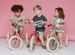 Trybike 2 In 1 Vintage Steel Balance Bike - Pink 26 Trybike 2 In 1 Vintage Steel Balance Bike - Pink -Children Toy Store TB6143 6