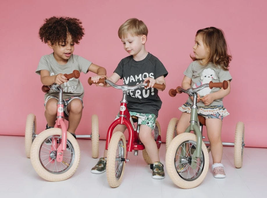 Trybike 2 In 1 Vintage Steel Balance Bike - Pink 14 Trybike 2 In 1 Vintage Steel Balance Bike - Pink - Image 12