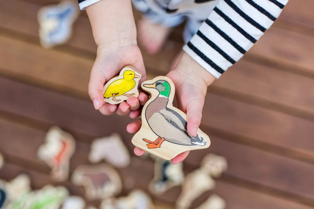 Freckled Frog Animal Families 6 Freckled Frog Animal Families - Image 4