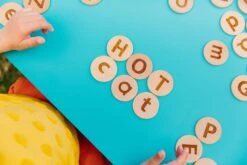 Freckled Frog Tactile Alphabet Matching Pairs -Children Toy Store TheFreckledFrogTactileAlphabetMatchingPairs 2