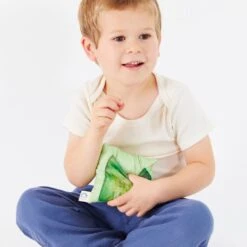 Sarah's Silks Tooth Fairy Pillow Green 13 Sarah's Silks Tooth Fairy Pillow Green -Children Toy Store ToothFairyPillowsBoy2