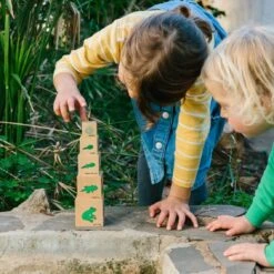 Freckled Frog Lifecycle Wooden Blocks
