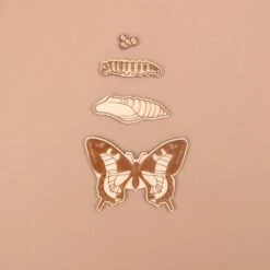 Stuka Puka A Bugs Life Puzzle 25 Stuka Puka A Bugs Life Puzzle -Children Toy Store bug life cycle wooden puzzle 11 2048x 7ff0037f fc0b 4137 937c c3cb0b4257c1