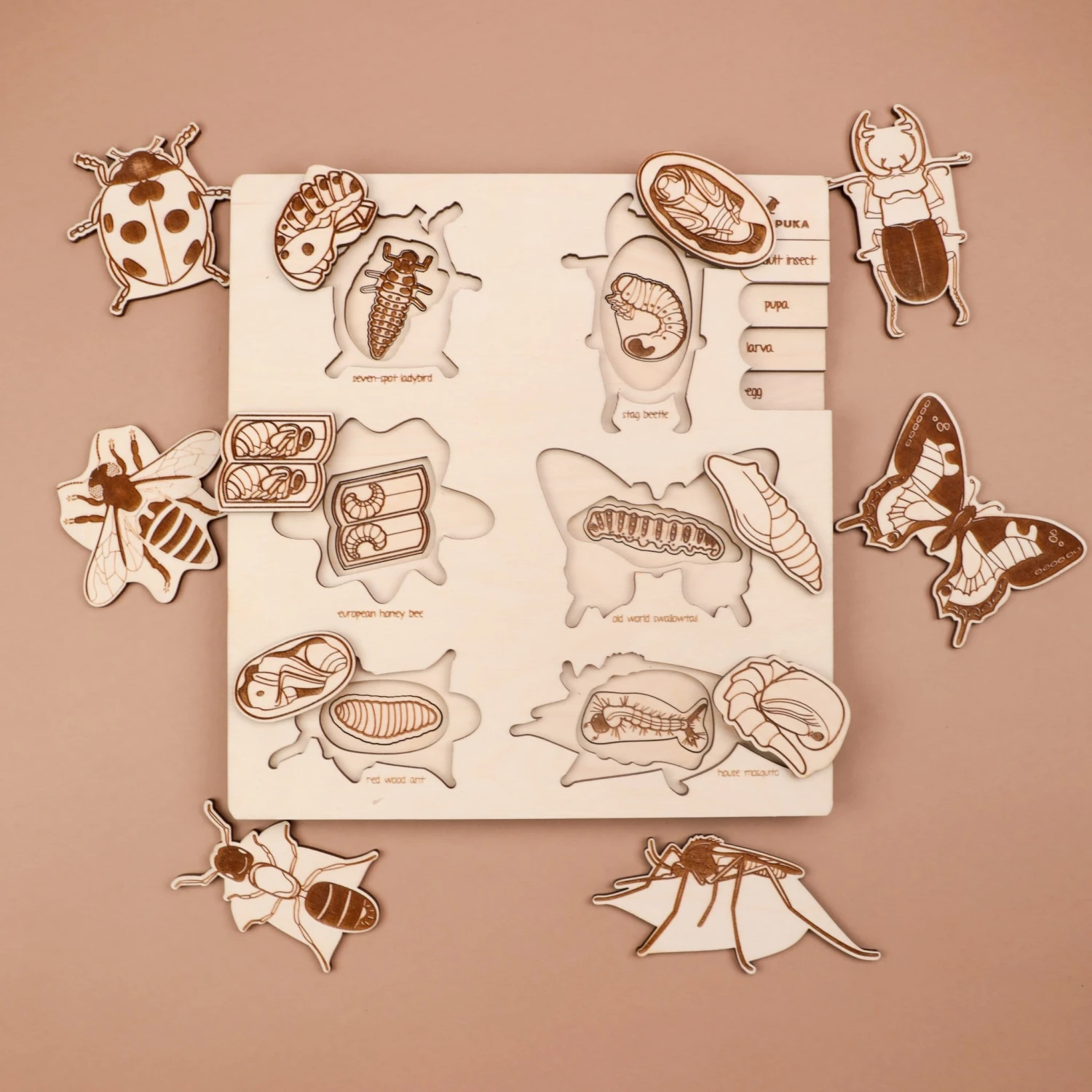 Stuka Puka A Bugs Life Puzzle 8 Stuka Puka A Bugs Life Puzzle - Image 6