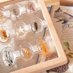 Guidecraft Specimen Stones Tabletop Stand 20 Guidecraft Specimen Stones Tabletop Stand -Children Toy Store f8fiddt9rgtypti1lgjk 400f211d 12cd 44d9 8b22 412994768576