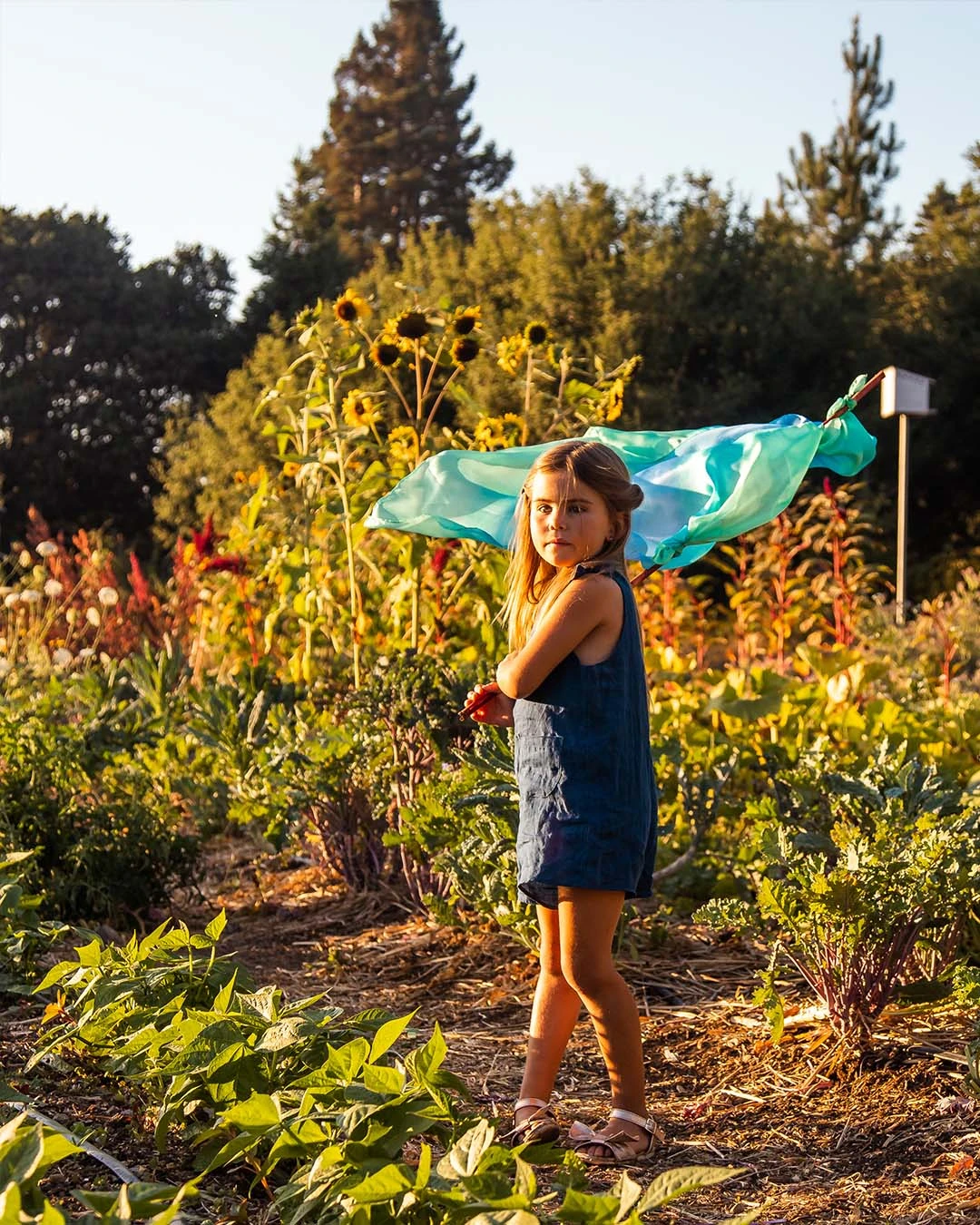 Sarah's Silks Enchanted Playsilks 13 Sarah's Silks Enchanted Playsilks - Image 11