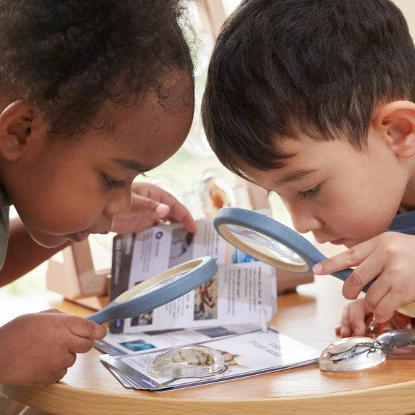 Guidecraft Specimen Stones Tabletop Stand 6 Guidecraft Specimen Stones Tabletop Stand - Image 4