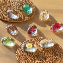 Guidecraft Specimen Stones: Plants -Children Toy Store ipqxytafrqo8f3f8hez1