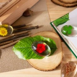 Guidecraft Specimen Stones: Plants -Children Toy Store iyprbidjv0qlpltvnwob