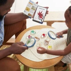 Guidecraft Specimen Stones: Plants -Children Toy Store jqiokiwawvm8y2fqetso