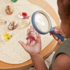 Guidecraft Specimen Stones: Plants -Children Toy Store jqwvbkz6ccobtysbkr4p