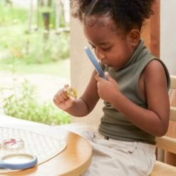 Guidecraft Specimen Stones: Plants -Children Toy Store kcejqqooiacksw9pxtlc