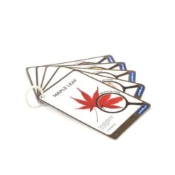 Guidecraft Specimen Stones: Plants -Children Toy Store nglnw32khb5tpeiloqhr