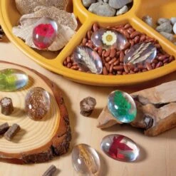Guidecraft Specimen Stones: Plants -Children Toy Store oxd72fihfmatjszgflhq
