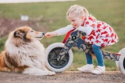 Wishbone Bike Pangolin 3-in-1 -Children Toy Store pangolinlifestyle